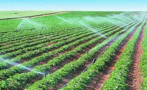义乌女人和黑肏屄视频农田高 效节水灌溉